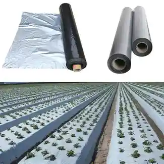 MULCHING PAPER (SILVER &
                            BLACK)