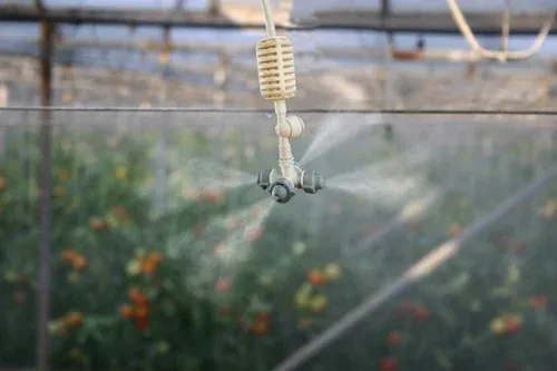 four-way-foggar-white